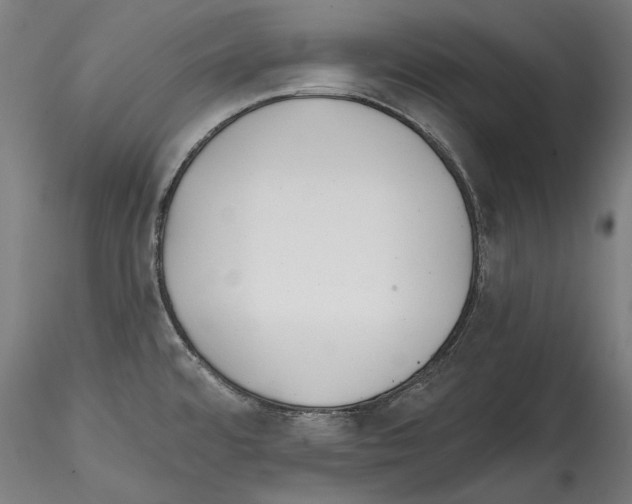 X0000114571480200911301300