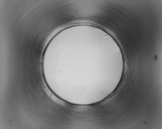 X0000114571482200911301300