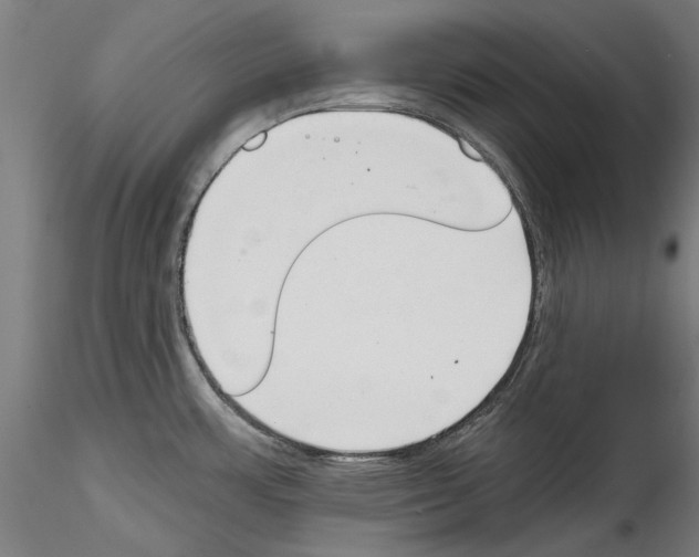 X0000114571483200911301300