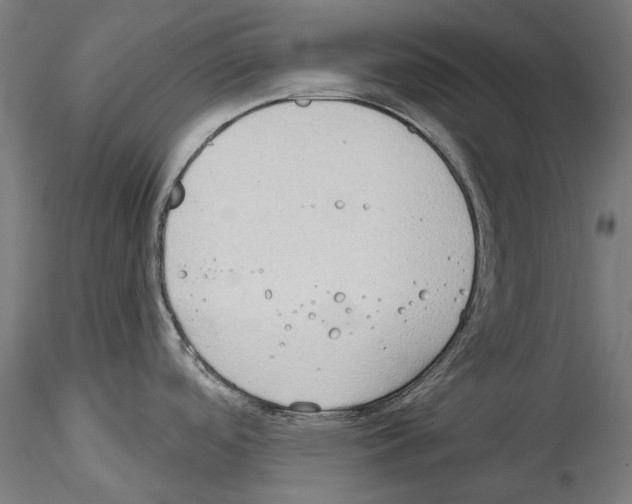 X0000114571488200911301300