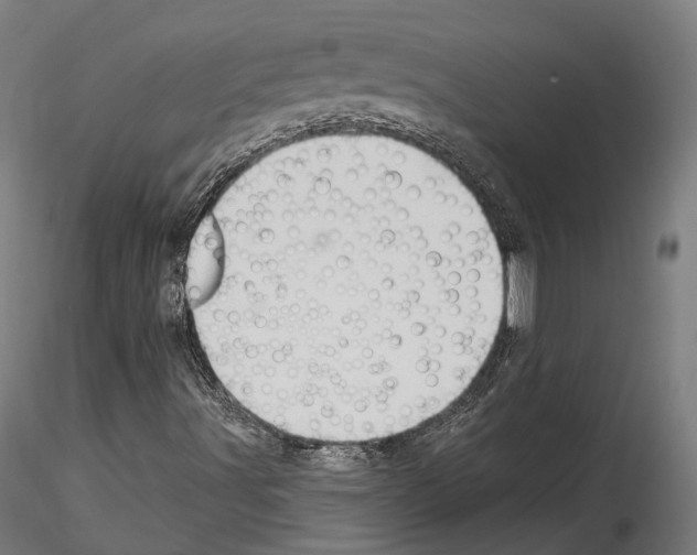 X0000114571491200911301259