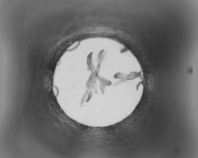 X0000114571493200911301259