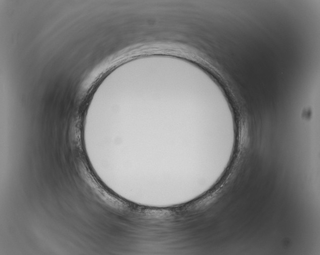 X0000114571498200911301259