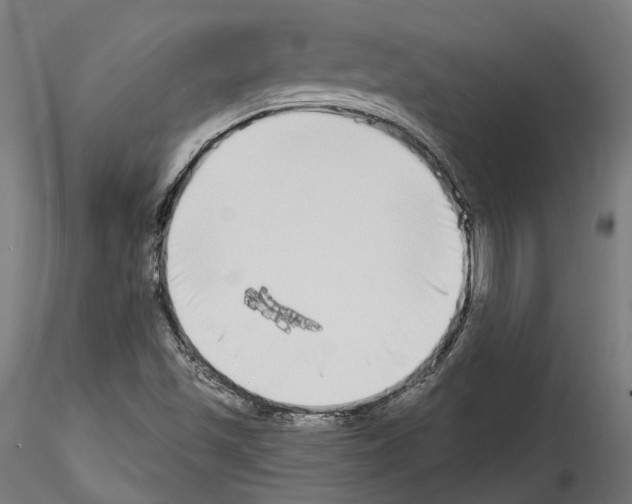 X0000114571501200911301300