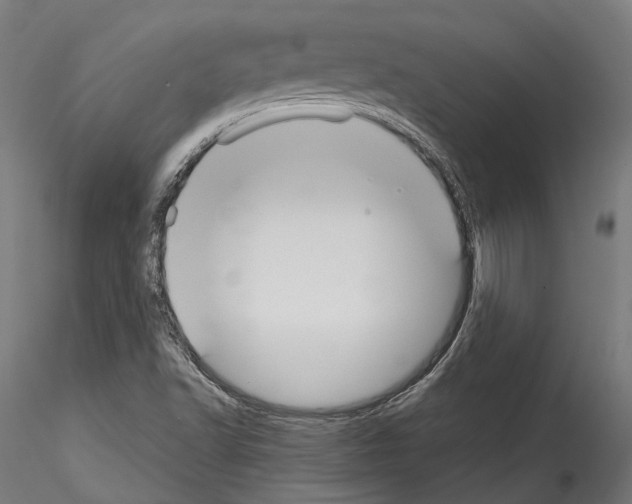 X0000114571502200911301300