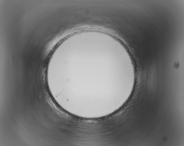 X0000114571503200911301300