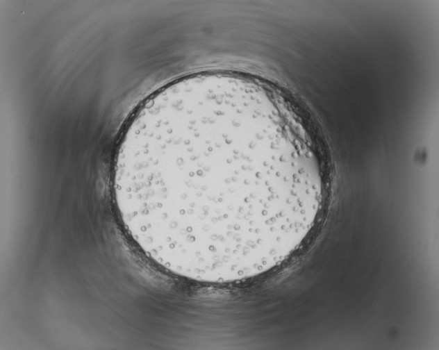 X0000114571505200911301300