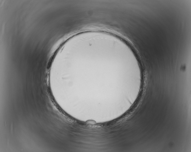 X0000114571509200911301300