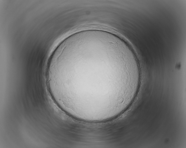 X0000114571514200911301300