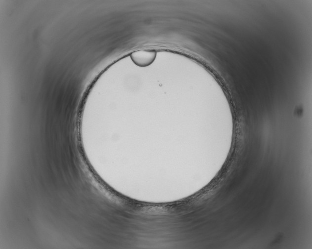 X0000114571517200911301300