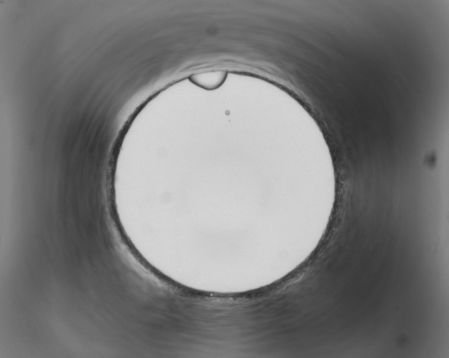 X0000114571518200911301300