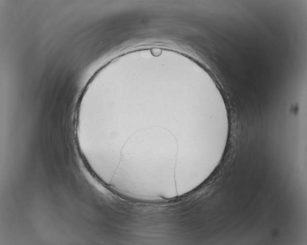 X0000114571519200911301300