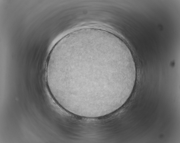 X0000114571522200911301300