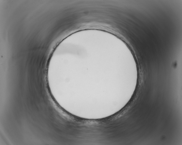 X0000114571525200911301300