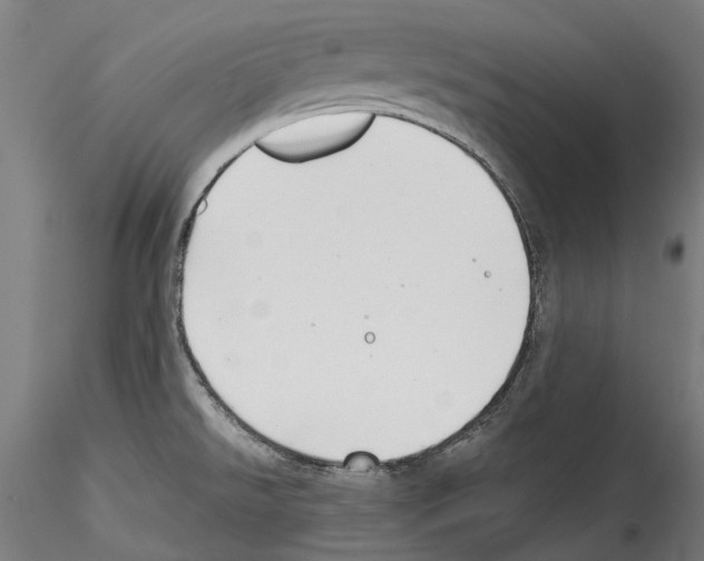 X0000114571526200911301300