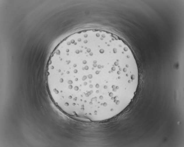 X0000114571527200911301300