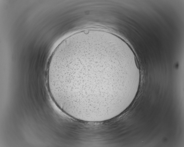 X0000114571531200911301300