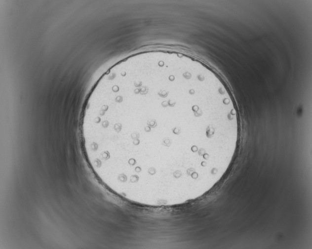 X0000114571533200911301300