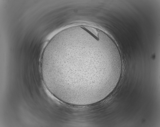 X0000114571535200911301300