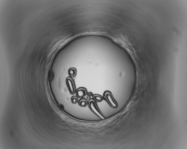 X0000114580001200910191104