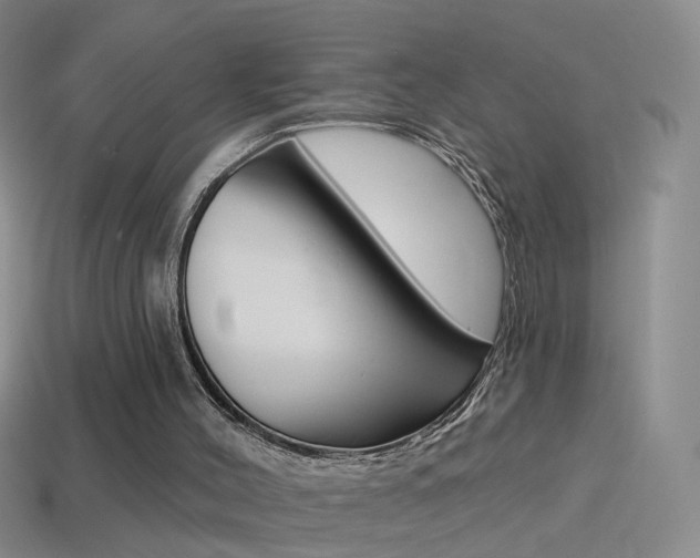 X0000114580004200910191104