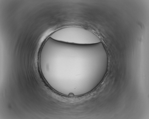 X0000114580006200910191104