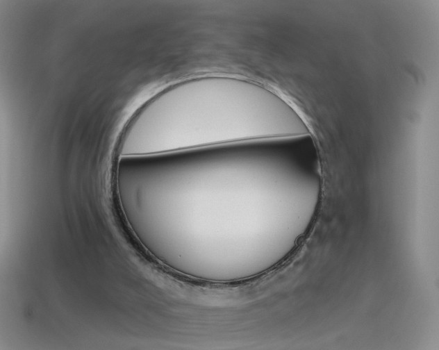 X0000114580008200910191104