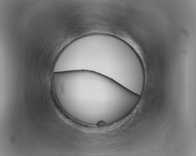 X0000114580009200910191104