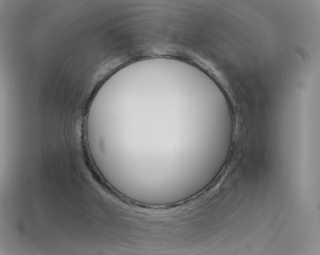 X0000114580010200910191104