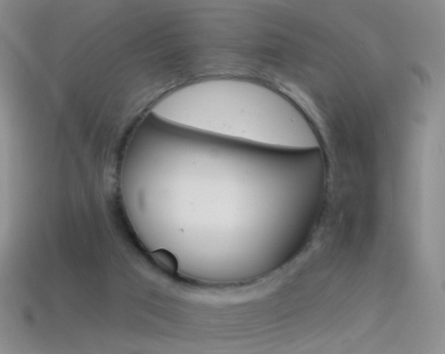 X0000114580017200910191104