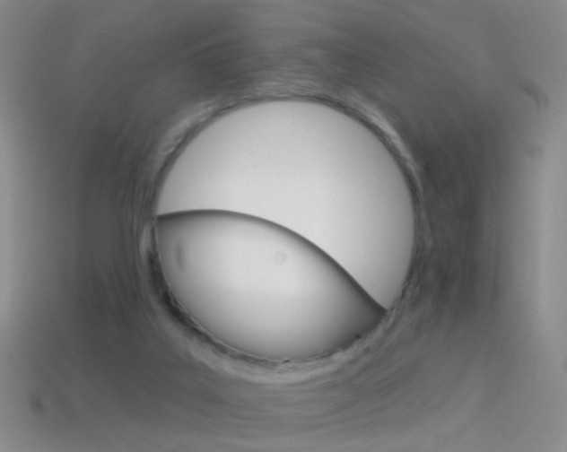 X0000114580019200910191104