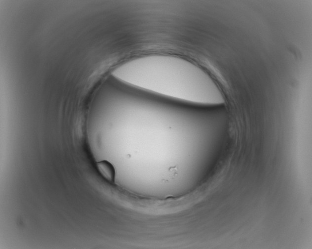 X0000114580023200910191104