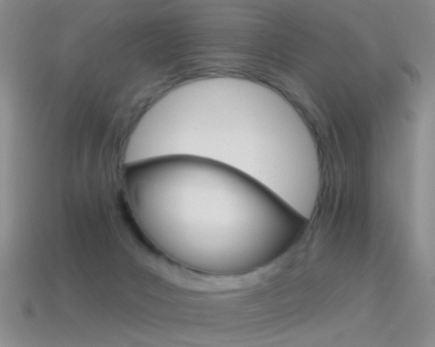 X0000114580031200910191104