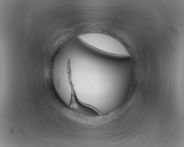 X0000114580035200910191104