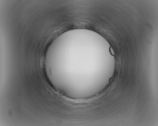 X0000114580038200910191104