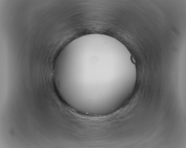 X0000114580040200910191104