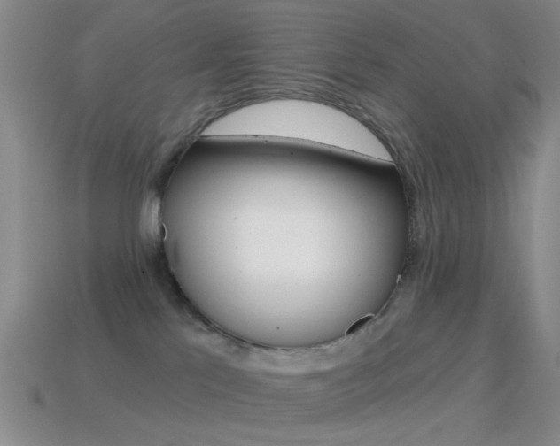 X0000114580041200910191104