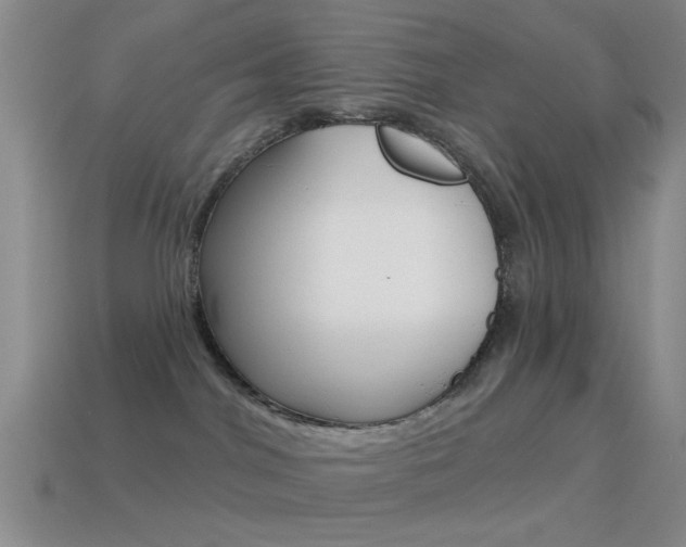 X0000114580044200910191104