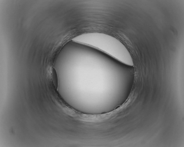 X0000114580045200910191104