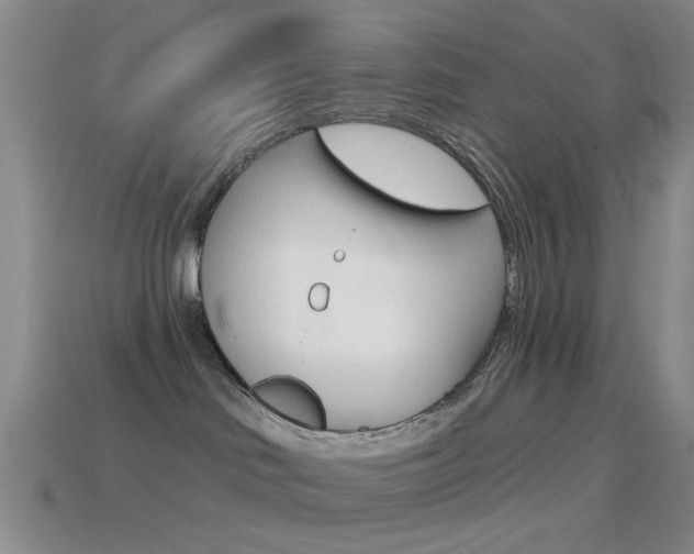 X0000114580046200910191104