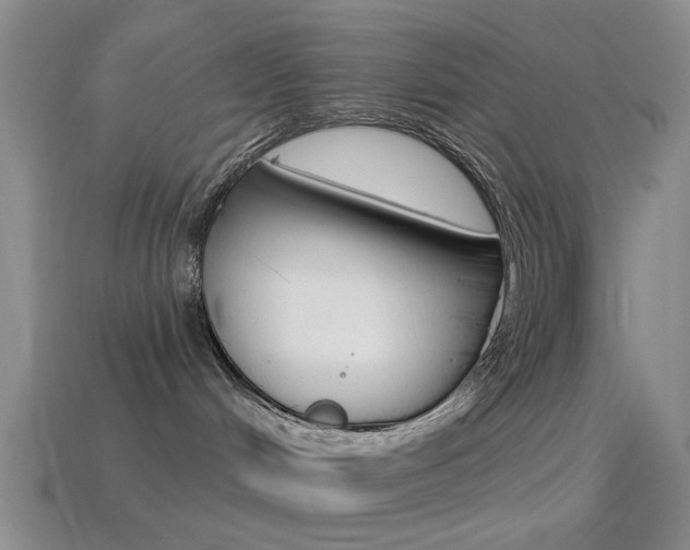 X0000114580048200910191104