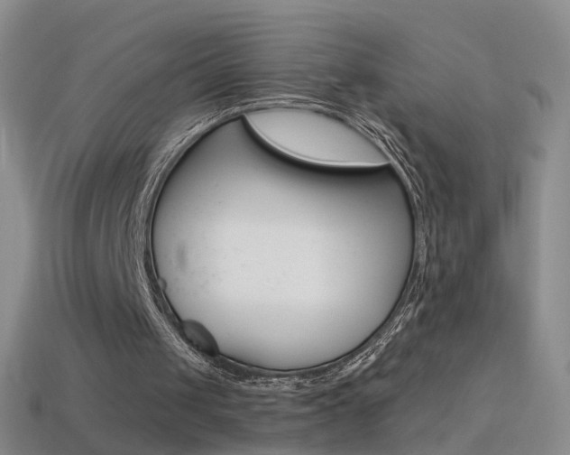 X0000114580049200910191103