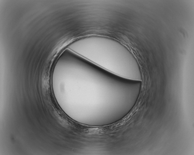 X0000114580050200910191103