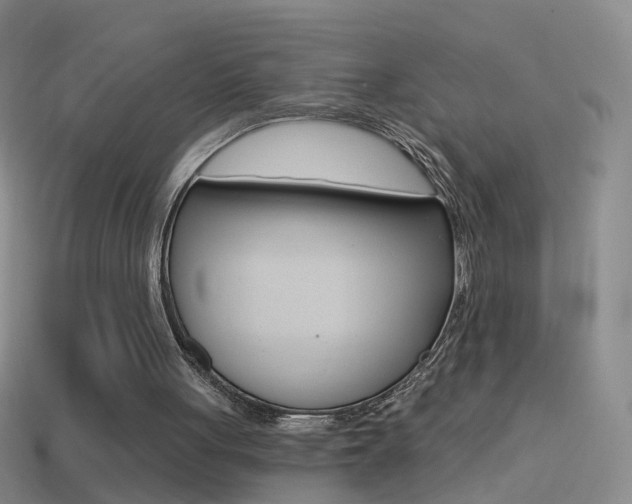 X0000114580051200910191103