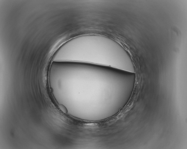 X0000114580053200910191103