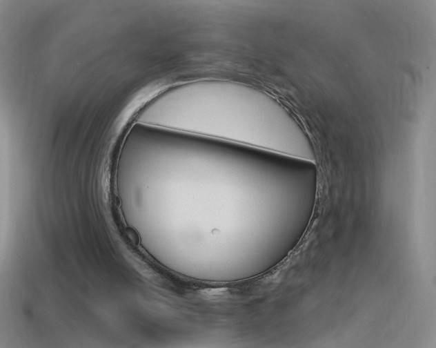 X0000114580054200910191103