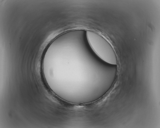 X0000114580055200910191103