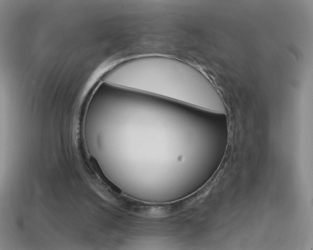 X0000114580056200910191103