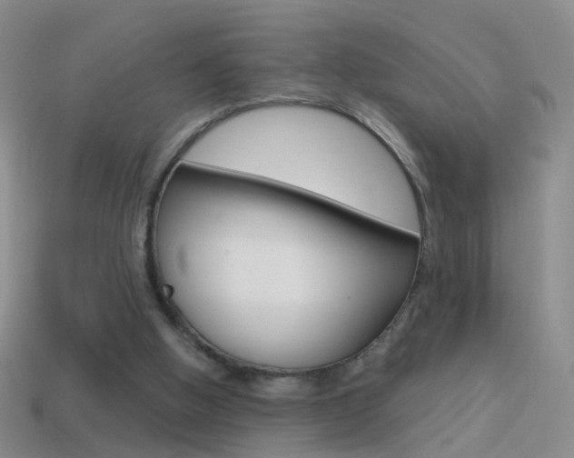 X0000114580058200910191103