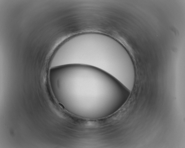 X0000114580060200910191103